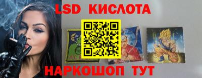apvp Бердск