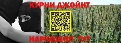 apvp Бердск