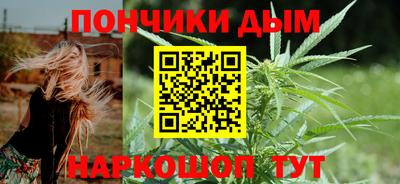 apvp Бердск