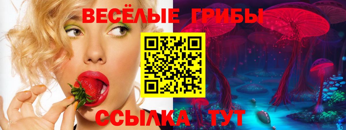 Псилоцибиновые грибы Psilocybine cubensis  Вход с VPN  Вязьма  Псилоцибиновые грибы Psilocybine cubensis 